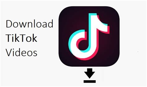 TikTok Online Viewer and Downloader